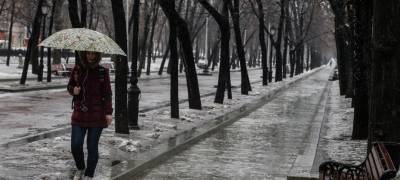 В выходные в Карелии резко потеплеет – пойдет дождь