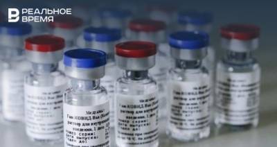Венгрия первой в Евросоюзе одобрила применение вакцины «Спутник V»