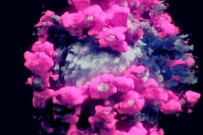 Ученые впервые показали 3D-кадры клетки коронавируса: фото и видео