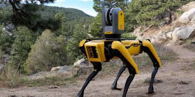 "Сбер" приобрел у Boston Dynamics робота-собаку стоимостью 74,5 тысячи долларов