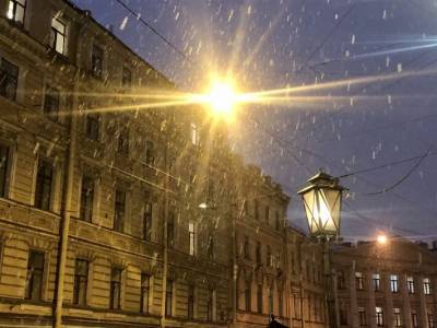 В Смольном призвали петербуржцев оставаться дома из-за надвигающегося снегопада