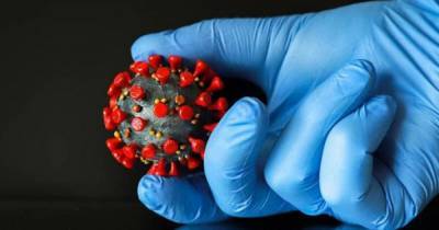 Ученые впервые сделали 3D снимок коронавируса (фото)