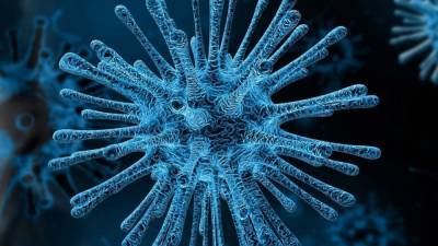 Создана первая в мире 3D-модель коронавируса