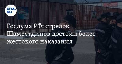 Госдума РФ: стрелок Шамсутдинов достоин более жестокого наказания