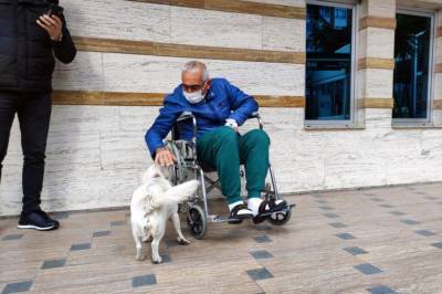 Собака ежедневно посещала своего хозяина в больнице, пока он не выздоровел, – трогательные фото