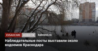 Наблюдательные посты выставили около водоемов Краснодара
