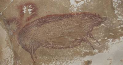 В Индонезии нашли древнейший наскальный рисунок животного