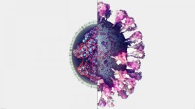Ученые сделали первое 3D-фото коронавируса