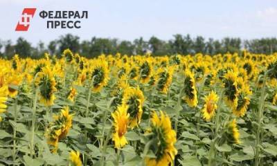 Нижегородские предприятия АПК получили 300 млн рублей субсидий