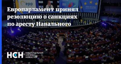 Европарламент принял резолюцию о санкциях по аресту Навального