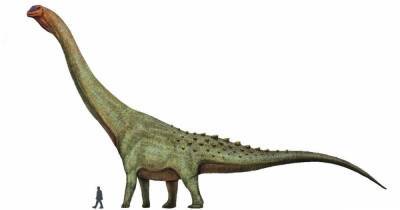 Ученые нашли останки динозавра, который был самым большим животным на Земле