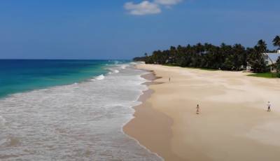 С 21 января Шри-Ланка открылась для туристов: как попасть на отдых