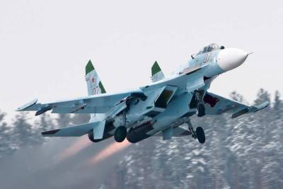 В Индии российские МиГ-29 и Су-30 «расправились» с американскими F-21