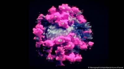 Ученые впервые сделали трехмерное фото вируса SARS-CoV-2