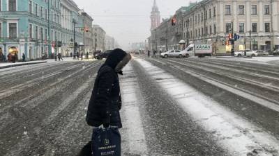 Петербург подготовился к надвигающемуся снегопаду