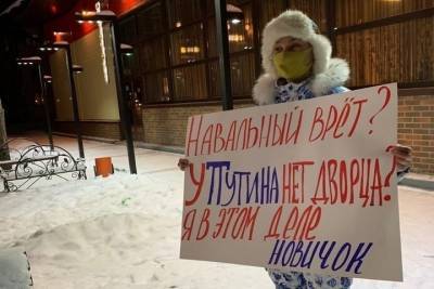 На активистку из Плесецкого района составили протокол за одиночный пикет