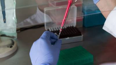 Обнаруженная в ЮАР мутация коронавируса имеет стойкость к антителам