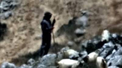 Пастухи-шпионы: что узнали в Израиле о новой разведсети Хизбаллы