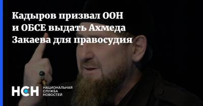 Кадыров призвал ООН и ОБСЕ выдать Ахмеда Закаева для правосудия