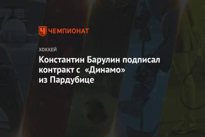 Константин Барулин подписал контракт с «Динамо» из Пардубице