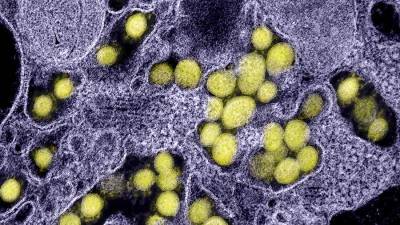 Ученые разработали прибор для оценки заразности штаммов коронавируса