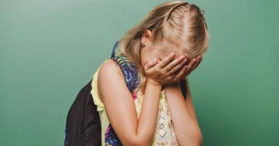 В Житомирской области девочка травила одноклассницу в соцсети — наказание за буллинг получила мать