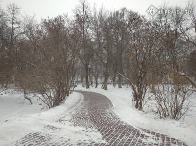 Обещают снег и южный ветер. Погода в Ульяновской области 22 января