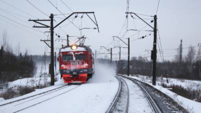 30 января из-за ремонтных работ остановят движение поездов между Мгой и Посадниково