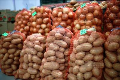 Картофельный союз нашёл способ удешевить стоимость корнеплода