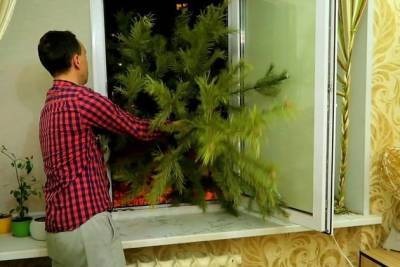 Замглавы Сретенска объяснил появление нецензурного видео с выброшенной за окно ёлкой