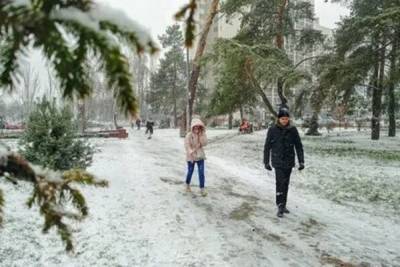 Ярославцев ждут оттепель и снегопады