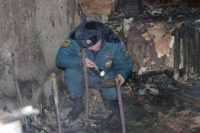 В Смоленской области 11 сотрудников лаборатории исследуют причины пожаров