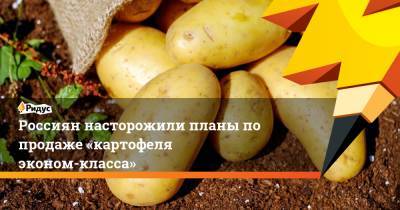 Россиян насторожили планы по продаже «картофеля эконом-класса»