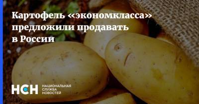 Картофель «экономкласса» предложили продавать в России
