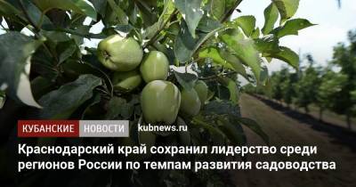 Краснодарский край сохранил лидерство среди регионов России по темпам развития садоводства