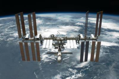 Экипаж МКС на Новый год попробовал редис, выращенный в космосе