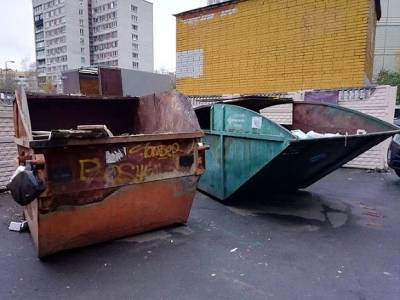 В Петербурге перестанут штрафовать за вывоз мусора по утрам в выходные