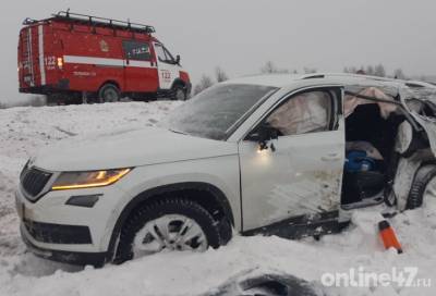 В Ленобласти водитель и пассажир иномарки пострадали в лобовом ДТП с грузовиком