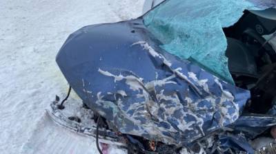 В массовом ДТП под Воронежем погиб водитель и пострадала пассажирка
