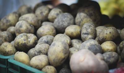 На полках магазинов может появиться картофель «экономкласса»