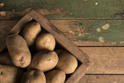 Производители предложили пустить в магазины России картофель "экономкласса"