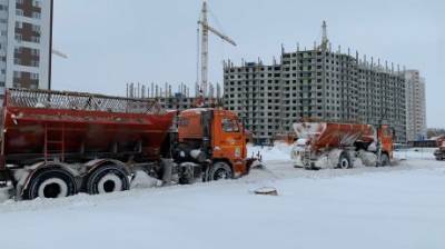 Депутат предложил чистить площадь Ленина от снега менее активно