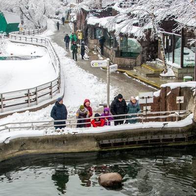 Московский зоопарк открывает закрытые из-за коронавируса павильоны
