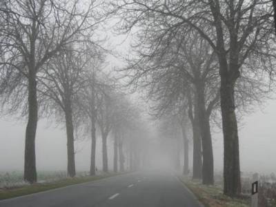 Водителей Москвы призвали к бдительности на дорогах из-за тумана