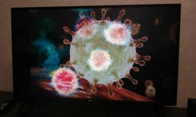 SARS-CoV-2 блокирует врождённый иммунитет носителя