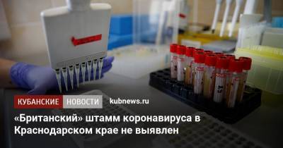 «Британский» штамм коронавируса в Краснодарском крае не выявлен