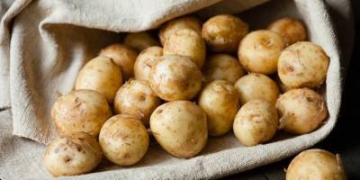 Производители хотят продавать картошку класса "эконом"