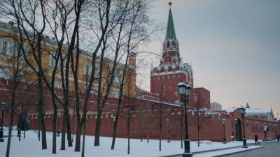 Кремль назвал недопустимыми призывы к участию в несогласованных митингах