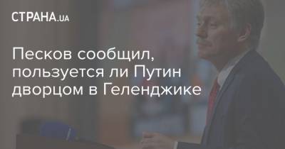 Песков сообщил, пользуется ли Путин дворцом в Геленджике