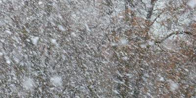 Николай Кульбида - Идут метели и дожди: синоптик рассказал, какие регионы Украины больше всего засыплет снегом - nv.ua - Украина